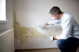 Sylvania, OH Mold Removal Company